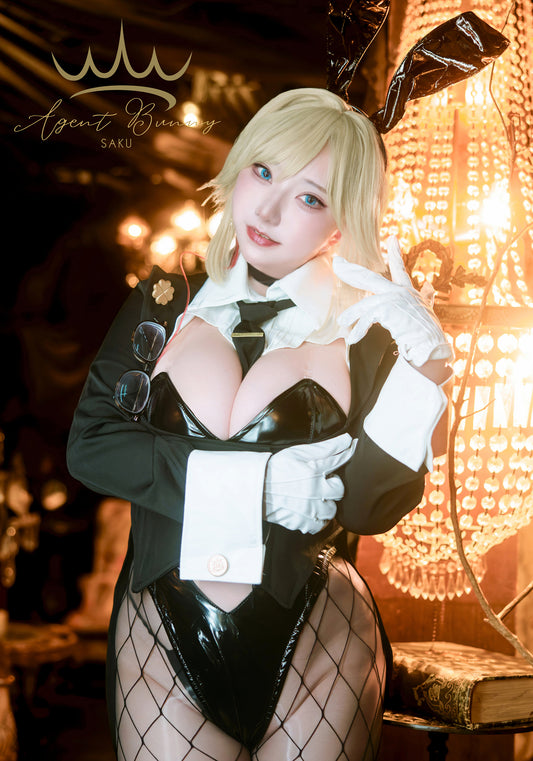 Agent Bunny/パッケージ版＆ダウンロード版