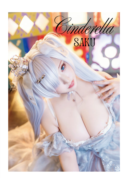 Cinderellaセット(ROM+紙媒体)