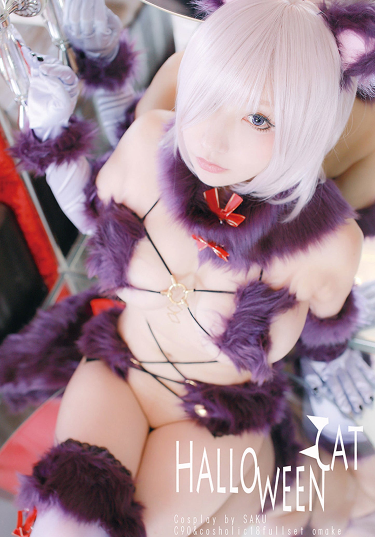 C91オマケROM付セット