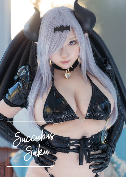 SuccubusSakuデータ写真集パッケージ版ROM付／ダウンロード版